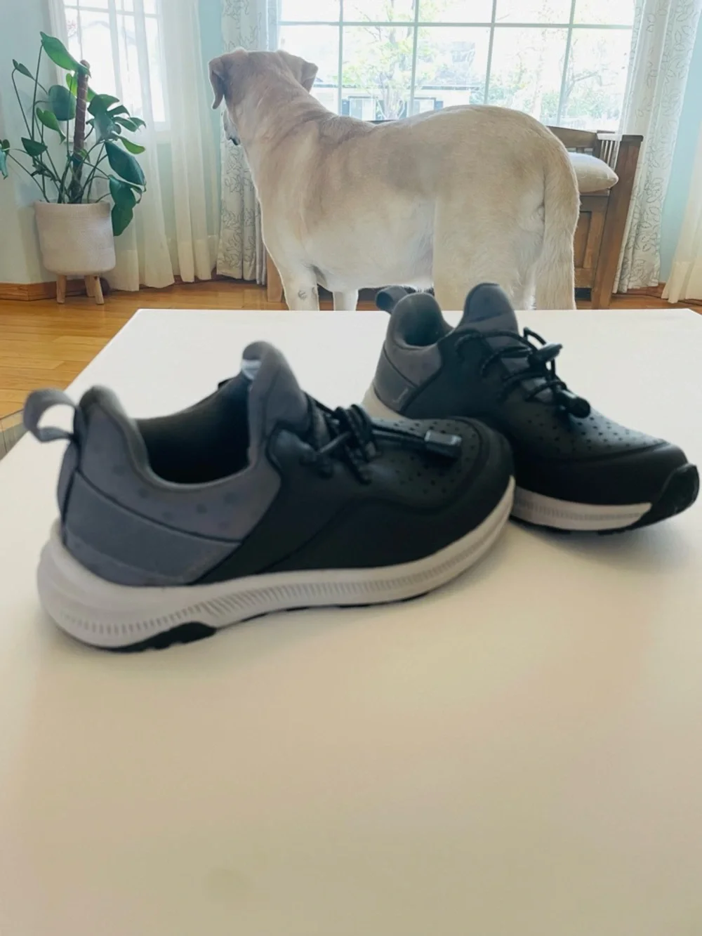 Deer Stags Kid’s Contour Bungee Lace Slip-On‎ Sneakers Size 13